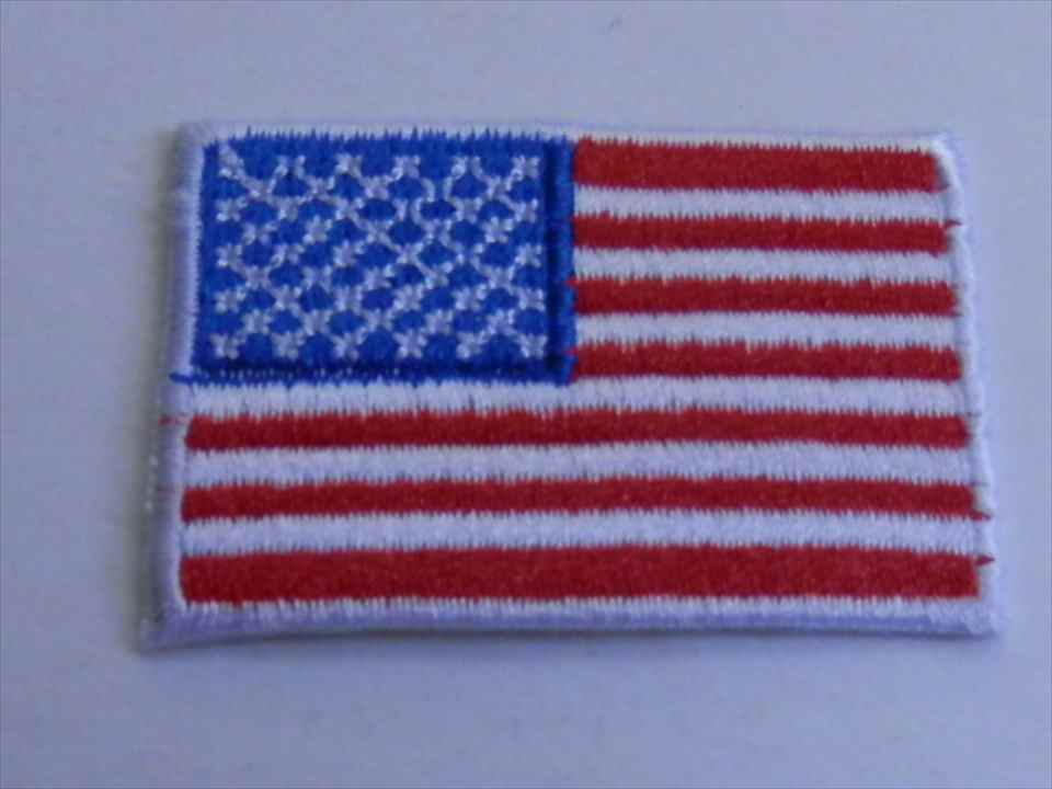 THE　UNITED　STATE　OF　AMERICA　ワッペン　（271173）