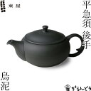 【直火不可】南部鉄器 急須 鋳技 柚子菊南部 鉄器 カラフル おしゃれ 日本製 茶こし 南部鉄 きゅうす カラーポット お茶入れ 茶器 ティーポット かわいい 母の日 送別品 おしゃれ食器 伝統工芸品 プレゼント お返し ホーロー 贈り物 ギフト キッチン用品 新生活 定番