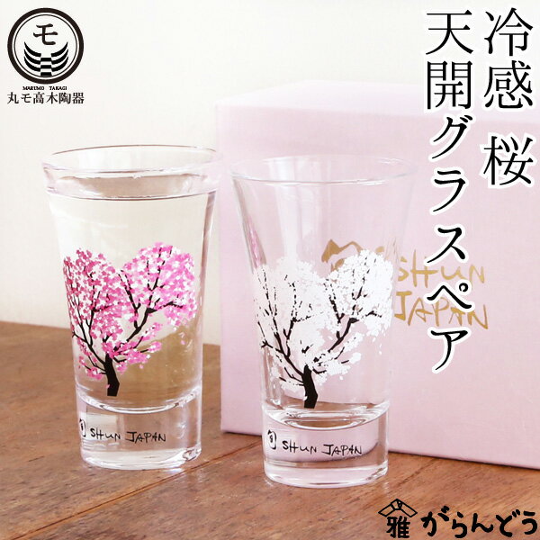 丸モ高木陶器 冷感桜 天開グラスペア 父の日 ぐい呑み 冷酒グラス 酒器 さくら 花見酒 冷酒 日本製 贈り物