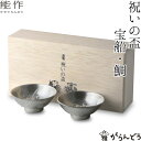 能作 × 雅覧堂 錫製 祝いの盃 ぐい呑み 酒器 猪口 盃 父の日 還暦祝い 退職祝い 内祝い ギフト 記念品 プレゼント 母の日 日本酒 お酒 nousaku...