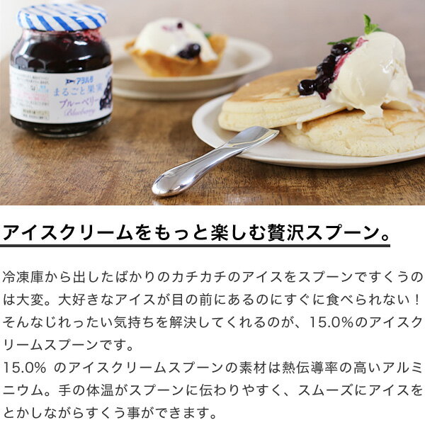 アイスクリームスプーン タカタレムノス No.02 チョコレート chocolate 15.0% アイ...