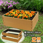 レイズドベッド 90cm×60cm (2個セット) ガーデンボックス ガーデンフレーム 樹脂製 立ち上げ花壇 花壇 家庭菜園 ガーデニング