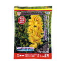 東商 洋らん肥料 2kg