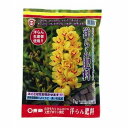 東商 洋らん肥料 1kg