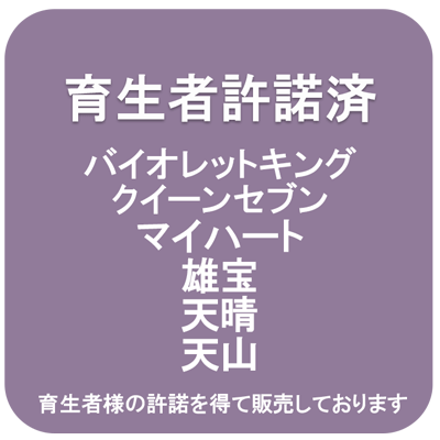 【天山】1年生ウイルスフリー接木苗テンザン　ブドウ※納期指定：発送予定2026年12...