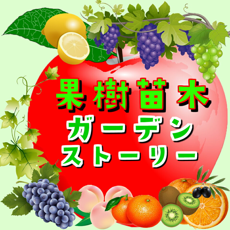楽天市場 | ガーデン ストーリー - 当店人気商品をこの度、楽天市場に