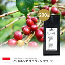 【 200g 】 インドネシア スラウェシ アラビカ （ スペシャルティ シングル コーヒー豆 ） インドネシア COFFEE 心斎橋焙煎所