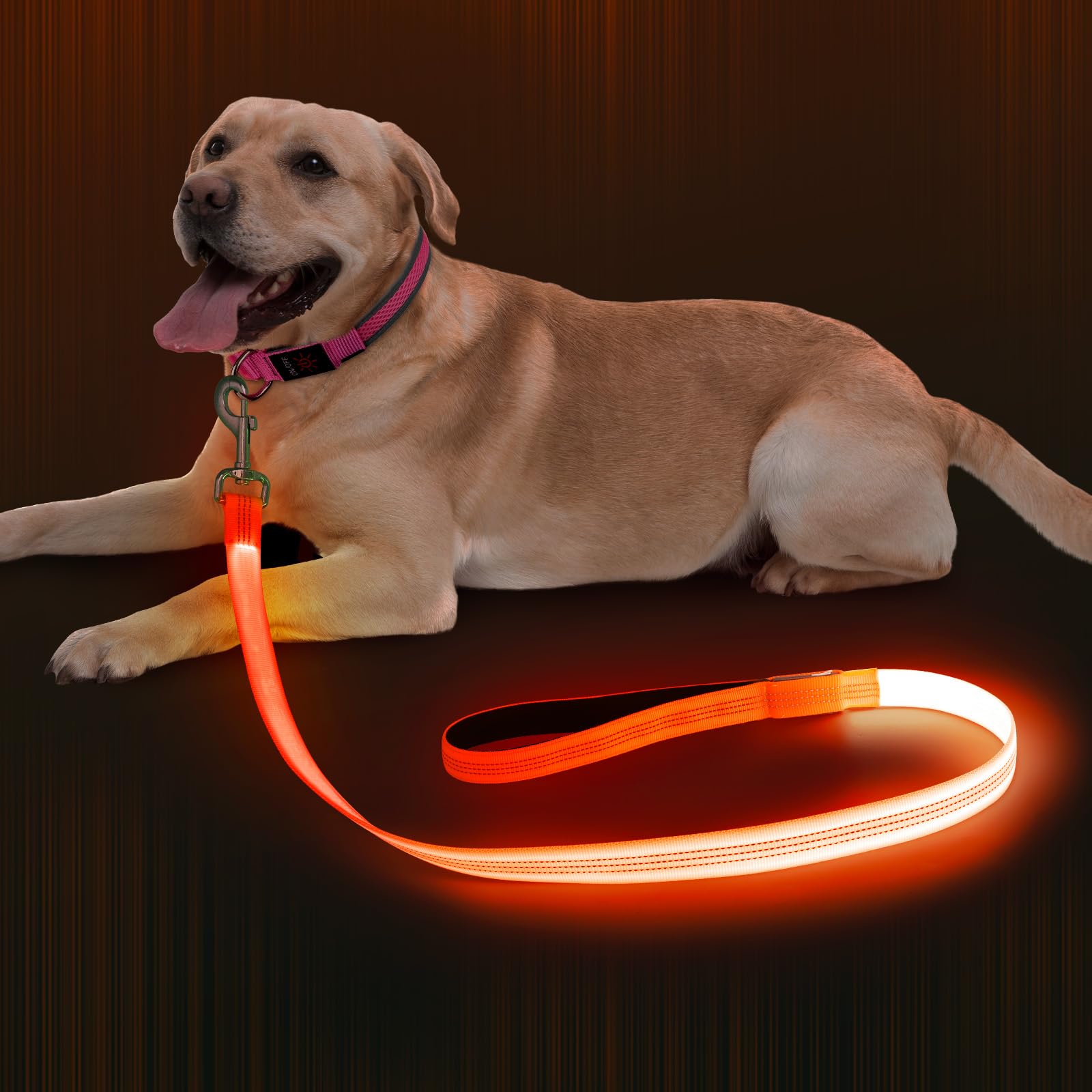 LED 発光 リード 犬 散歩 ライトドッグリード 1.2m 高輝度 光るリード 視認距離500m USB 充電式 ペット..