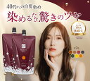 白髪染め レフィーネ ナチュラル カラートリートメント 300g セット | 女性用 男性用 白髪染めトリートメント ヘアカラー トリートメント ヘアカラートリートメント 白髪 白髪染 全体染め ブラウン ブラック ノンジアミン