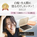 白髪隠し レフィーネ ヘアファンデーション レフィル ダークブラウン 女性用 男性用 ヘアカラー 白髪かくし 美容室 白髪染め 簡単 部分染め 生え際 もみあげ 低刺激 安全 レディース メンズ 白髪 さらさら 自然