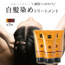 <まとめ買い>白髪染め レフィーネ ヘッドスパ トリートメントカラー R2 140g 3本セット | 女性用 男性用 白髪染めトリートメント ヘアカラー トリートメント ヘアカラートリートメント 白髪 白髪染 全体染め ノンジアミン