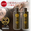 【12/11迄 ポイント11倍】 白髪染め シャンプー レフィーネ ヘッドスパ カラークリーム シャンプー 220mL 2本セット 白髪染めシャンプー 白髪シャンプー 白髪染シャンプー カラーシャンプー ノンジアミン 白髪 白髪染 全体染め 女性用 レディース