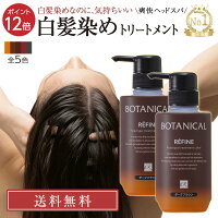白髪染め レフィーネ ヘッドスパ ボタニカル トリートメント カラー R4 大容量 300g 2本セット | 白髪染めトリートメント ヘアカラートリートメント ヘアカラー おすすめ 女性用 男性用 頭皮ケア 白髪 白髪染 カラートリートメント 全体染め 無添加