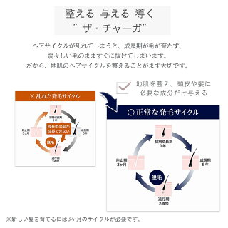スカルプケア,スカルプケアシャンプー,スカルプシャンプー,頭皮用,頭皮マッサージ,頭皮ケア,頭皮ブラシ,頭皮クレンジング,頭皮臭いシャンプー女性,頭皮化粧水,頭皮保湿ローション,スカルプブラシ,スカルプシャンプー女性,ふけ,かゆみ,頭皮ケアシャンプー