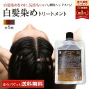 白髪染め レフィーネ ヘッドスパ トリートメントカラー お試しサイズ80g R4 白髪染めトリートメント ヘアカラー トリートメント おすすめ 女性用 男性用 頭皮 白髪 白髪染 白髪隠し 全体染め 無添加 母の日