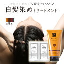 白髪染め メンズ レフィーネ ヘッドスパ トリートメント カラー 140g R2 + 薬用 スカルプシャンプー 5ml 2包 セット 男性用 ヘアカラートリートメント カラートリートメント ヘアカラー 頭皮ケ…