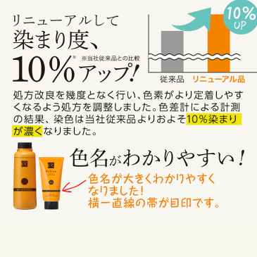 白髪染め レフィーネ ヘッドスパ トリートメントカラー（スターターセット）300g【2本で送料100円/3本で送料無料】カラートリートメント 気持ちいい 染まりやすい 色持ち 女性用 男性用 refine 美容室 トリートメント 5色 ブラック ブラウン