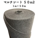 クラピア専用マルチシート (50m2) 1m幅50m巻 吸水性 透水性アップ 病気になりにくい