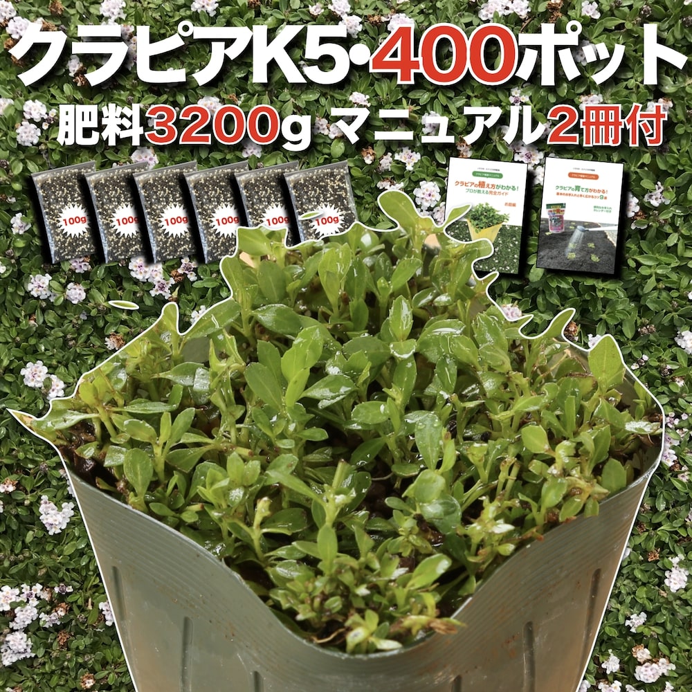 【有機一発肥料1000gプレゼント中】 クラピア K5（薄桃） 9cmポット苗 400鉢セット 有機一発肥料3200gと完全植栽マニュアル付き イワダレソウ改良種 グランドカバー プランツ 雑草対策 庭 ガーデニング diy 緑化 おすすめ ガーデン