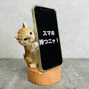 スマホスタンド 茶トラ猫 ネコ 卓上 アニマル スマホホルダー おしゃれ プレゼント ギフト 贈り物 置物 可愛い リアル アニマルオブジェ インテリア かわいい 動物 ガーデンオーナメント 玄関先 庭 雑貨 写真立て(2)