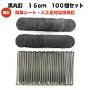 防草シート 人工芝 押さえ釘 黒丸釘セット 黒丸板100枚と15cm釘100本セット 特殊釘 雑草対策 固定ピン アンカーピン サブピン などの代用 業務用 庭...