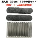 防草シート 人工芝 押さえ釘 黒丸釘セット 黒丸板1000枚と20cm釘1000本セット 特殊釘 雑草対策 固定ピン アンカーピン サブピン などの代用 業務用...