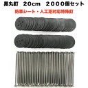 防草シート 人工芝 押さえ釘 黒丸釘セット 黒丸板2000枚と20cm釘2000本セット 特殊釘 雑草対策 固定ピン アンカーピン サブピン などの代用 業務用...