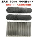 防草シート 人工芝 押さえ釘 黒丸釘セット 黒丸板500枚と20cm釘500本セット 特殊釘 雑草対策 固定ピン アンカーピン サブピン などの代用 業務用 庭...