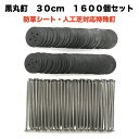 防草シート 人工芝 押さえ用 黒丸釘セット 黒丸板1600枚+30cm釘1600本セット 特殊釘 雑草対策 押さえ杭 抑え杭 押さえピン ヘアピン杭 Uピン 除...