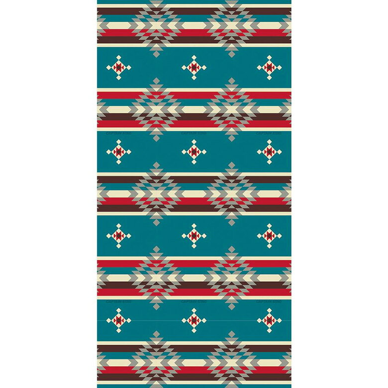 【BLACK FRIDAY限定ポイント5倍】※クーポン利用で50円OFF！※ CAPTAIN STAG キャプテンスタッグ CSネイ..