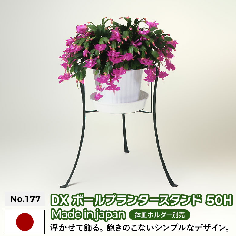 DX{[v^[X^h 50H No.177 GREEN GARDEN O[K[f v^[ A Aؔ K[fjOpi |     K[ft@j`[ ы O