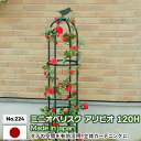 ≪ 商品詳細 ≫ 特長 ●玄関のコーナーやお庭のアクセントに。つる草花を立体的に変化・演出し、ガーデニングの楽しみを広げます。 ●使い勝手のよい手頃なサイズです。 ●鉢（10号以上）に挿しても、庭に直接挿し込んでも使用できます。 ●モスグリーンカラーでどんな背景にも違和感なく溶け込みます ●スタンダードなフォルムはどんな庭にもマッチします。 ●国内で厳重な品質管理のもと製造しております。 完成品寸法 高さ：1200mm 直径：250mm ※お客様組立商品です。 材質 本体：Φ12.7mmスチールパイプ、鉄板、メラミン樹脂焼付け塗装（モスグリーン色） ビス：スチール製黒クロメートメッキ その他仕様 ●設置は土中に直接差し込んでも、鉢（10号以上）に差し込んでもどちらでも可能です。GREEN GARDEN ミニオベリスク 「アリビオ」シリーズ 「アリビオ」120H 「アリビオ」160H