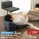 カバーリング「TVまくら」 座椅子 座いす ざいす 洗えるカバー付き 洗濯可能 一人暮らし キッズ 子ども部屋 新生活 和室 リビング こたつ リラックス ナチ...