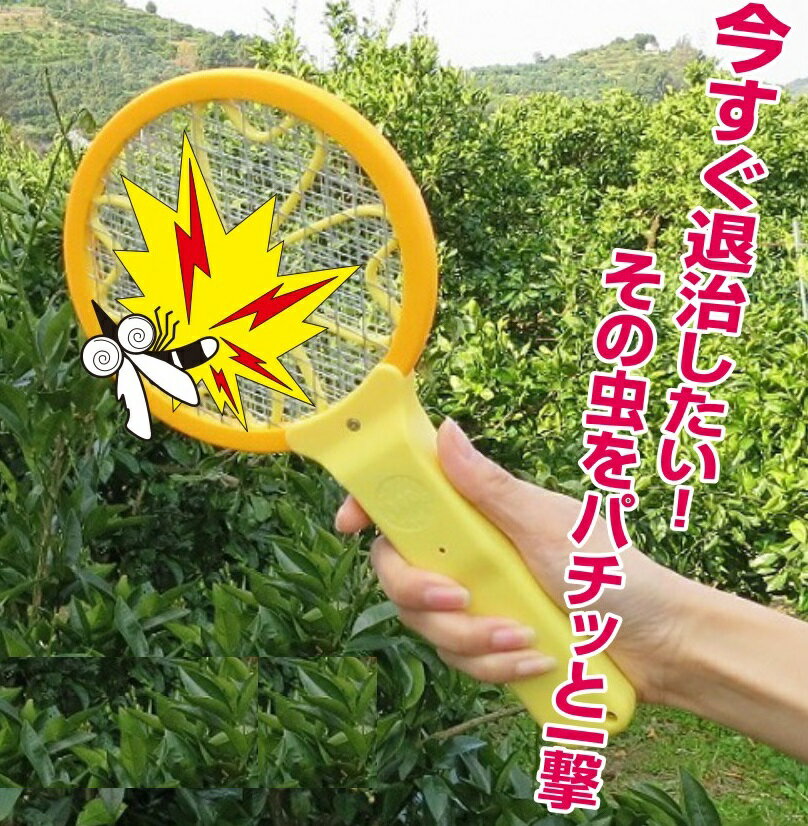 ͥåȤΥʥä