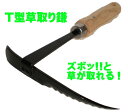gardening:10004025のサンプル画像1