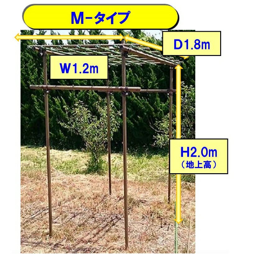 セキスイ　フルーツパーゴラ Mサイズ　1.2x1.8x高さ2.4m　※遅送 キャンセルの場合あり 代引き+5,000円追加送料～藤棚 ブドウ棚 つる 薔薇 バラ棚 果樹棚