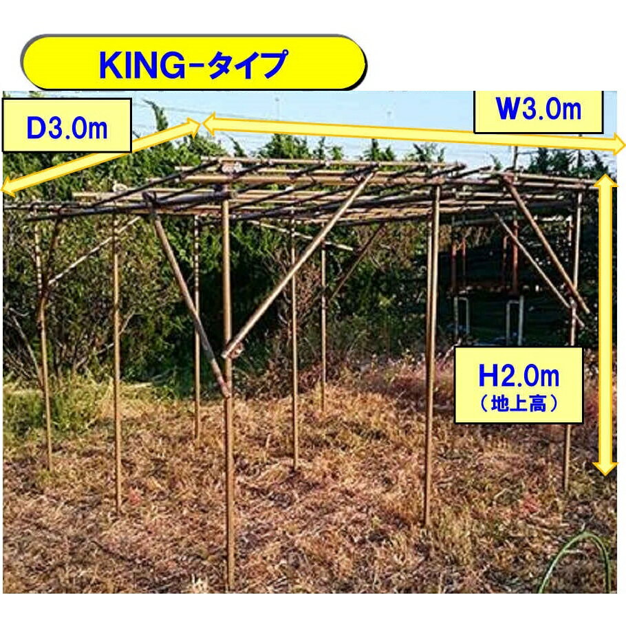 セキスイ　フルーツパーゴラ 大型Kingサイズ.0x3.0x高さ2.4m※遅送 キャンセルの場合あり 代引き+5,000円追加送料～藤棚 ブドウ棚 つる 薔薇 バラ棚 果樹棚