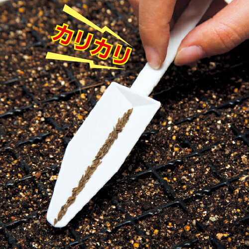 ハンディ種まき器 カリカリ君1組(2本入)〜タキイ種苗 カリカリくん たねまきツール 播種※送料無料メール便発送 同梱 日時指定 代引き不可