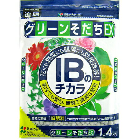 花ごころ　グリーンそだちEX　1.4kg　IBのちから～白い粒々の緩効性肥料 室内 観葉植物の肥料にも