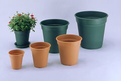 https://thumbnail.image.rakuten.co.jp/@0_mall/gardening/cabinet/ikou_20091001_002/img10433032560.jpg