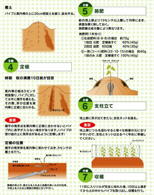 長いも用クレバーパイプ(3枚組)