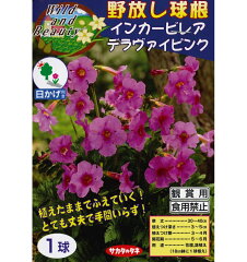 https://thumbnail.image.rakuten.co.jp/@0_mall/gardening/cabinet/naekyuukon/img65388410.jpg