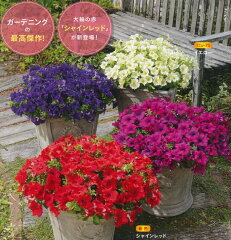 https://thumbnail.image.rakuten.co.jp/@0_mall/gardening/cabinet/naekyuukon/imgrc0081344511.jpg