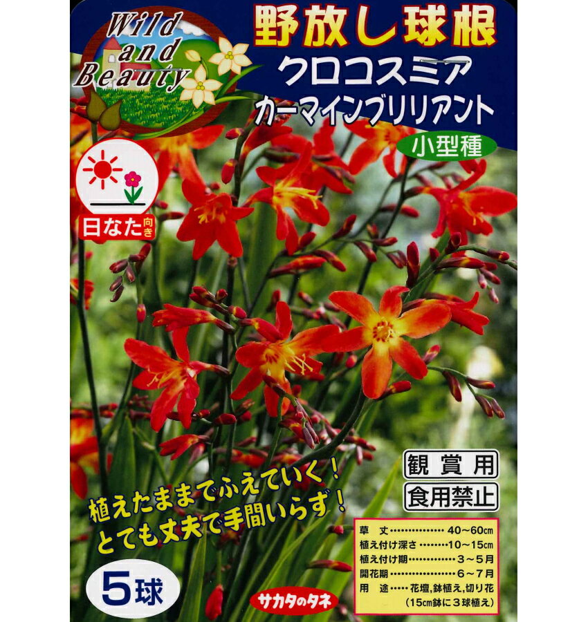 տ庬庬ڥߥޥ֥ꥢȡ5