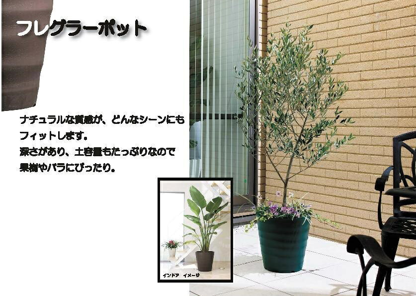植木鉢 フレグラーポット　24型　〜観葉植物から菜園まで 室内 屋外 シンプルでオ...