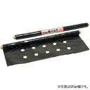 (4cmx5列 穴開きマルチ) タキイ 菜園マルチ 穴あき黒マルチシート 95cmx50m巻き ~送料無料 他の商品と同梱不可