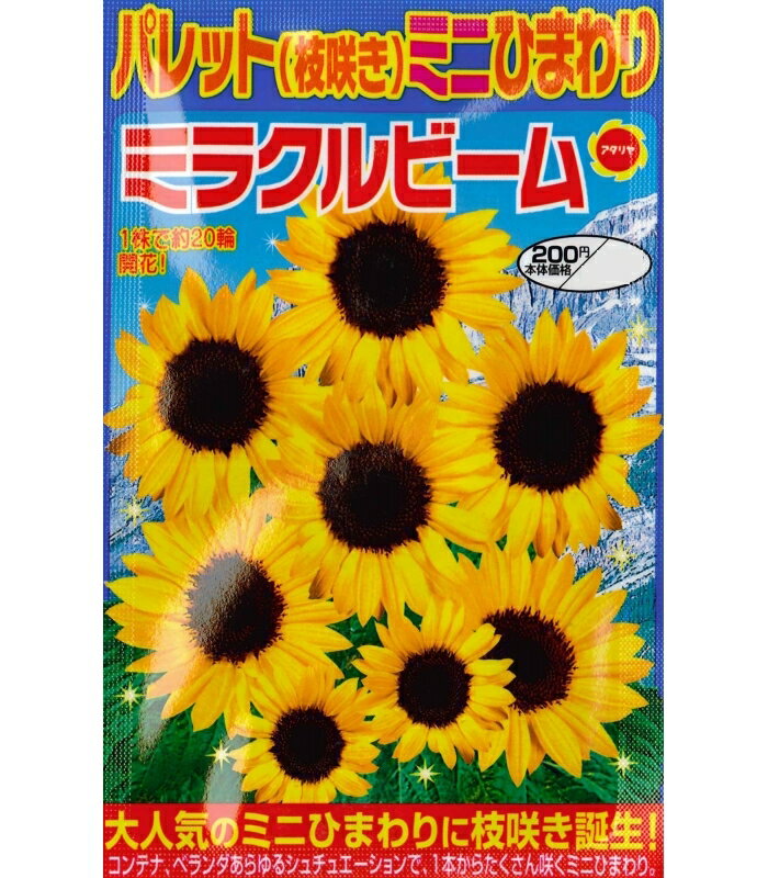 アタリヤ ヒマワリ ミニひまわり ミラクルビーム【1.5ml】 花種のサムネイル