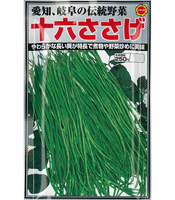 アタリヤ 十六ささげ【15ml】　夏野菜種 実菜 ササゲのサムネイル