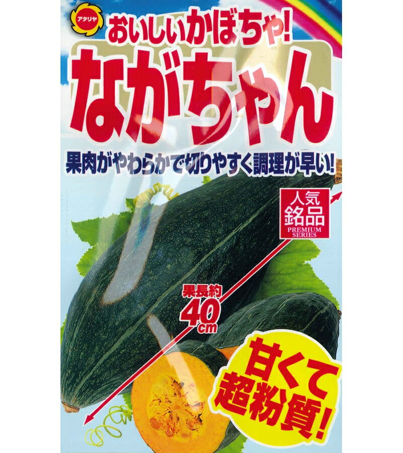 アタリヤ ながちゃんかぼちゃ【5ml】夏野菜種 実菜 カボチャのサムネイル