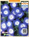 サカタのタネ ネモフィラ インシグニスブルー 営利種子10ml 1袋
